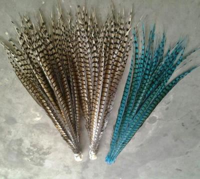 China Decorative Feathers pheasant feather for Carnival costumes FY1264 for sale