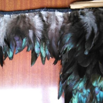 China Decorations Natural Black Feather Trim Feather Fringe Trimming for sale