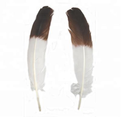 China Turkey Feather Turkey Feather Flies with Black/Brown Tip for sale