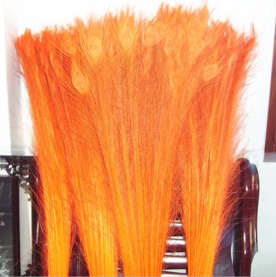 China Costume 28-32 inch (70-80 cm) Bleach Dyed Peacock Feather For Cheap Sale For Christmas Decoration for sale