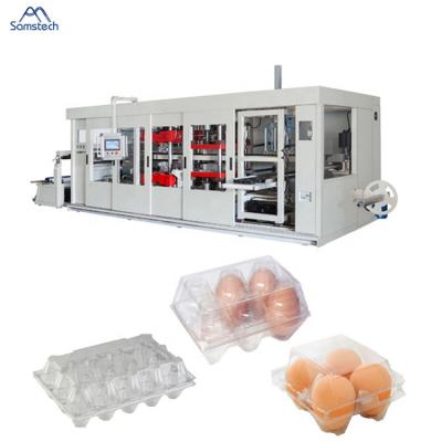 China Hotels Low Price Egg Tray Manufacturing Machine Price for sale