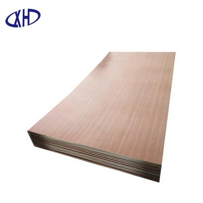 China Newest Modern RED poplar/hardwood/EV face furniture plywood combi core for furniture for sale