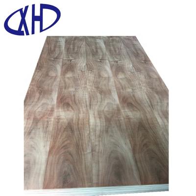 China Natural Parota Hotel Veneered Plywood 15mm and 18mm Tzalam Triplay Poplar Core/Hardwood/Combi Both Sides for sale