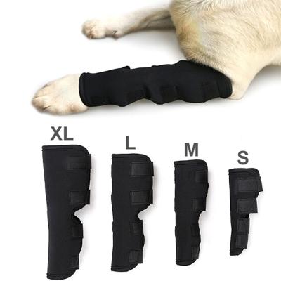 China 4mm Premium Quality Neoprene And Nylon Coating Surgical Hedgehog Knee Support Brace Stability Dog Injury Protector Recovery Sleeve for sale