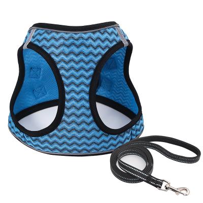 China Blue Quick Release Harness Adjustable Cat Harness With Striking Blue Leash for sale