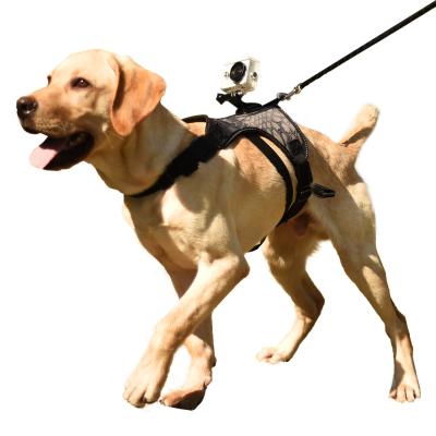 China Dog Chest Fixed Harness Fixed Effort Strap Belt Sports Rear Camera Fixed Dog Harness Vest for sale