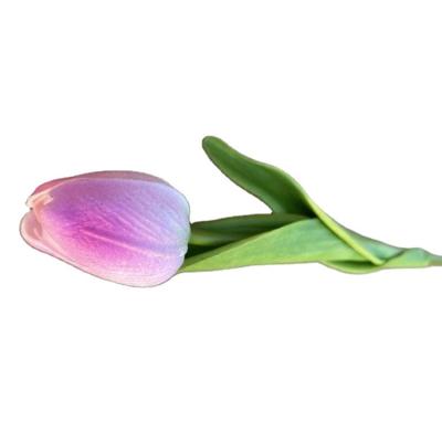 China Fashional Fake Flower Manufacturers Supply Wholesale High Quality Real Touch Single Stem Artificial PU Tulip for sale