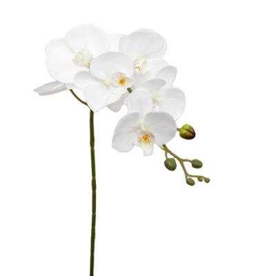 China Factory Wholesale High Quality Fashional Orchid Artificial Flowers White Phalaenopsis Latex Phalaenopsis Flowers for sale