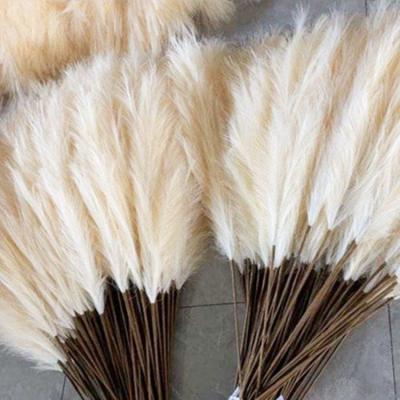 China Home Wedding Decorative Flowers Large Pampas Grass Cream Tubular Silk Grass Flowers 110cm Long Fake Stem Wholesale Good Quality Beige Artificial Fluffy for sale