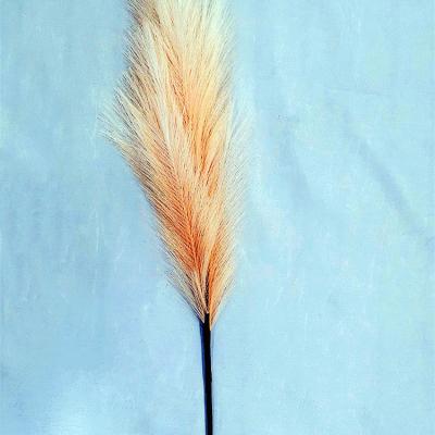 China Great Hit Art Decor Hot Sale Amazon White Decorative Silk Pampas Grass Brown Silk Pampas Grass For Hotel Wedding Home Decoration for sale