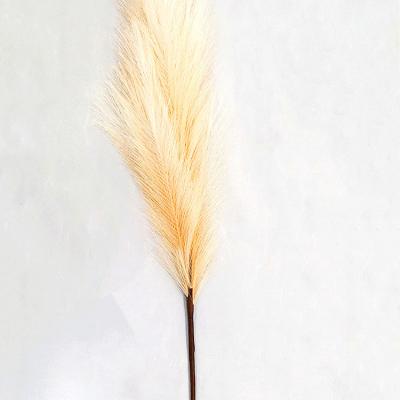 China Selling Fake Amazonian Phragmites Tubular Grass Popular Hot Soft Beige Cream Artificial Flower Large Tubular Phragmites Pampas Grass for sale