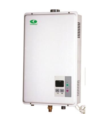 China Instantaneous Gas Water Heater Digital Constant Temperature 12L 16L High Efficiency Gas Water Heater for sale