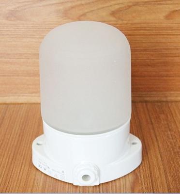 China Sauna lamp FIREWAY brand lamp for sauna for sale