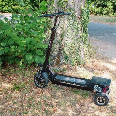 China Unisex Battery Electric Long Range Folding 3 Wheel Scooter Portable Fast Transit EU for sale