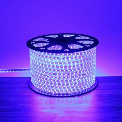 China PVC Three Row Led Tira Strip Light 220V /110V Flexible Tape Waterproof Ribbon For Home for sale