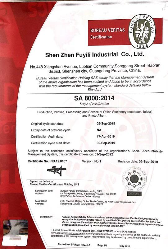 SA8000 - Shenzhen Holi Industrial Co., Ltd.