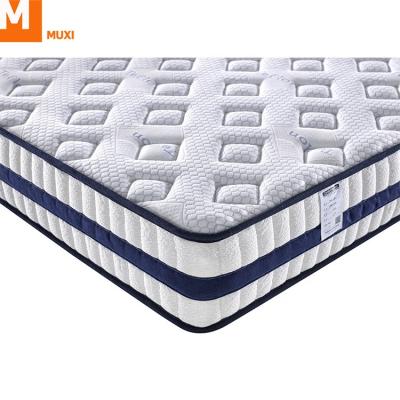 China Pocket Size Queen Memory Foam Mattress Pack Hot Sale 32cm Comfortable/Strength/Toughness Hard Box Spring Purchase for sale