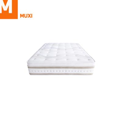 China Comfy/strength/toughness wholesal product on amazon comfort latex elastic roll single pocket spring mattress for sale