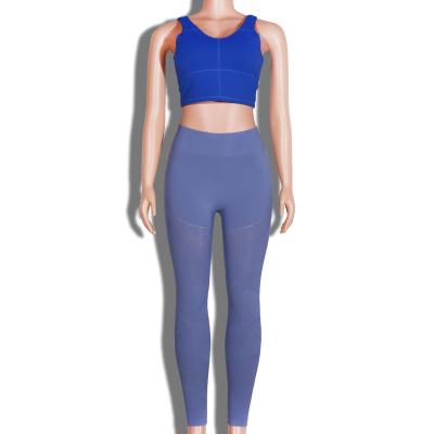 China Plus Size Supplier ECHT NVGTN Recycled Performance BLUE Sexy Hollow Women Yoga Ladies Seamless Leggings Material Sales Leggings for sale