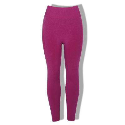 China Plus Size Supplier ECHT NVGTN Recycled Material Gaiters Violet Nvgtn Contour Seamless Dark Leggings Gym Workout Tummy Control Leggings for sale