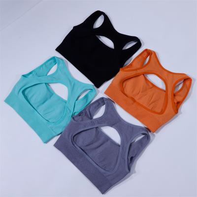 China Yoga Plus Size New Arrival NVGTN Supplier Fitness Sports Bras Women Workout Gym Gray Eclipse Seamless Bra for sale