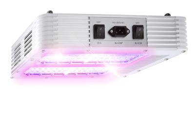 China 210WATT volledige Spectrumleiden kweken Comité met UL, ETL-HOOFDbestuurder, Osram LEDS Te koop