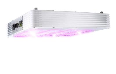 Chine 420W LED élèvent le panneau, plein spectre, lumière végétative, lumière de floraison à vendre