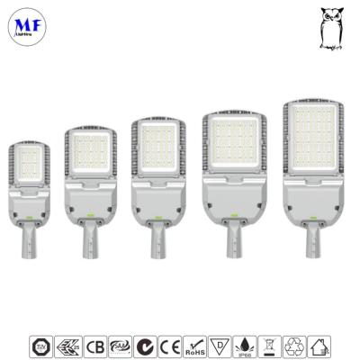 중국 5년 보증 LED 길거리 조명 방수 30W-300W 170lm/W IP66 판매용