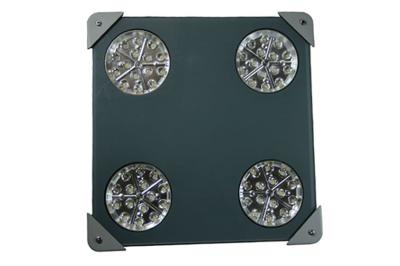 China Industrielle Explosionslichter IP66 50 Watts LED mit Aluminiumlegierungsmaterial zu verkaufen