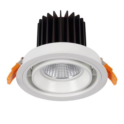 Cina Plafoniera rotabile del riflettore da 20 watt LED, 15°, 24°, angolo d'apertura 38° in vendita