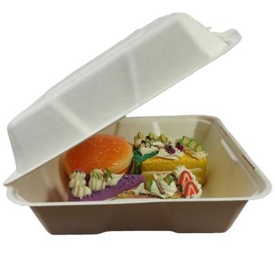 China 100% Compostable Single Compartment Sugar Cane Clamshell 8inch Disposable Take Out Food Containers for sale