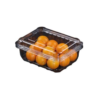 China Fruit Clear Plastic Fruit Containers With Hinged Lid for sale