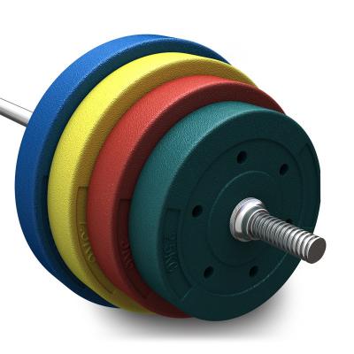 China Long Lasting Multicolor Durable Barbell 10kg Weight Plates Fitness Sports Exercise Equipment Barbell Plate for sale