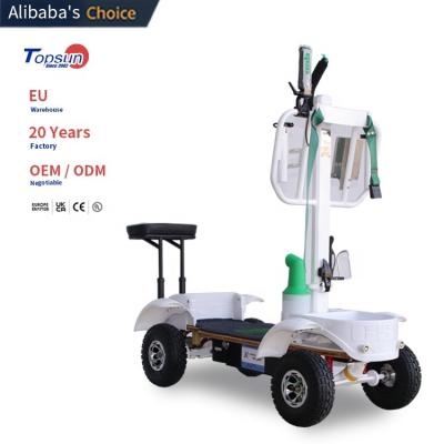 China > DE = 2022 New Product GSC Golf Cart Accessories Electric Carts Electric Scooter 400 Times for sale