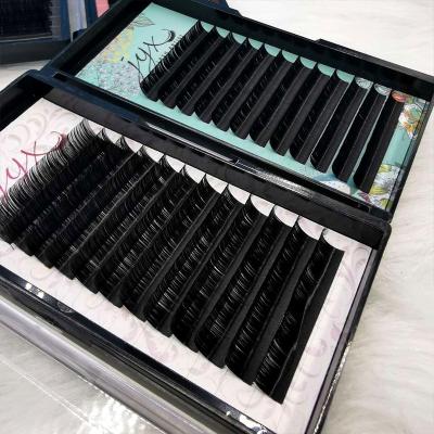 China Natural Soft Curl Eyelash Extension Lashes 8-15mm Lashes Extension For Faux Mink Individual Eyelash Extension for sale