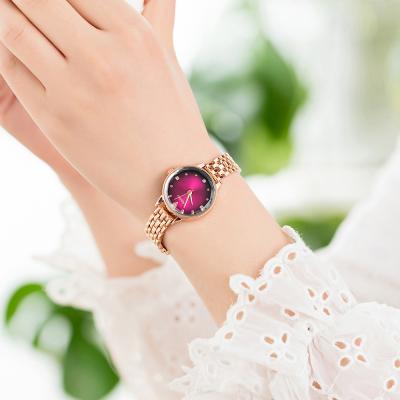 China Date Amazon Success Women Automatic Watches Brand Fashion Luxury Ladies Watch 2020 for sale