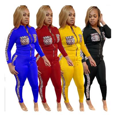 China Winter Breathable Patchwork Two Piece Plus Size Tracksuit Set Women Casual 2 Piece Pants Set for sale