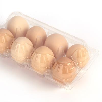 China Wholesale Disposable Customize Eco-Friendly Disposable Transparent Clamshell Clear Plastic PET Blister Egg Tray for sale