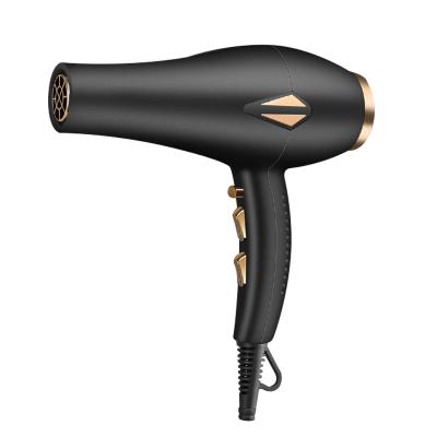 China New Design Factory Best High Power Foldable Household Negative One Voltage Double Stage Ion Leafless Hair Dryer for sale