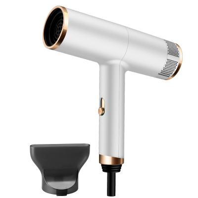 China Factory Hot Selling Foldable One Function Professional Stage Blow Hair Dryer Concentrator Reverse Diffuser One Ionic and Induction for sale