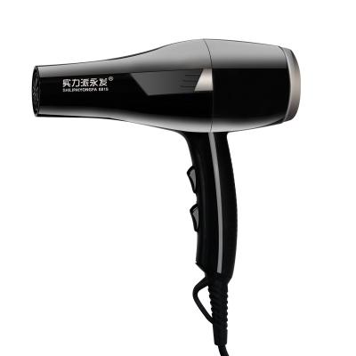 China Ionic Salon Overheat Fast Drying Ionic Daily Protection High Power Blow Hand Salon High Power Price Hair Dryer Professional Purchase Hair Dryer for sale