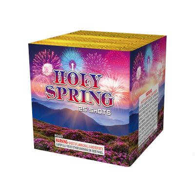 China Fabriek Nieuw Cake Vuurwerk Pyrotechniek 25 Shots Cake Vuurwerk Chinees Djibouti Groothandel Vuurwerk 2025 Te koop