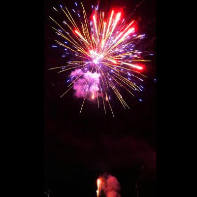 Cina Fabbrica cinese di Hunan Ingrosso 48 colpi Torta a lungo tempo fuochi d'artificio torta pirotecnica 1.4g fuochi d'artificio all'aperto in vendita