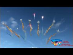 49 Shots Daytime Fireworks Cake Pyrotechnics Un0336 1.4g