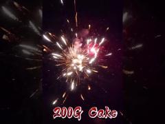 Chinese Factory 16 Shots 200g Cake Fireworks From Liuyang Pyrotechnic