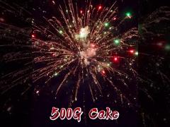 Liuyang Wholesale 24 Shots Cake Fireworks Chinese 500g Customized Cake Fireworks For New Year