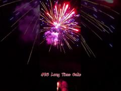 Hunan Factory Wholesale 48 Shots Long Time Cake Fireworks Cake Pyrotechnics 1.4g Outdoor Fireworks
