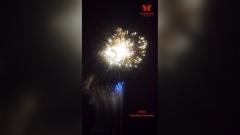Liuyang Factory 1.3G Professional Fireworks Display 78 Shots Cake Fireworks For Wedding New Year