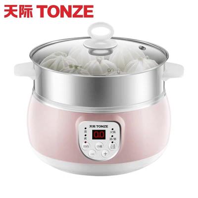 China 2 Layers Stainless Steel Outdoor Multipurpose Steamer Electric Heating Pot With Food Steamer for sale