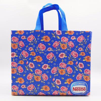 China Promotion Laminated Non Woven Handbag for sale